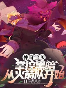 神奇宝贝掌控黑暗从火箭队开始 落日青风
