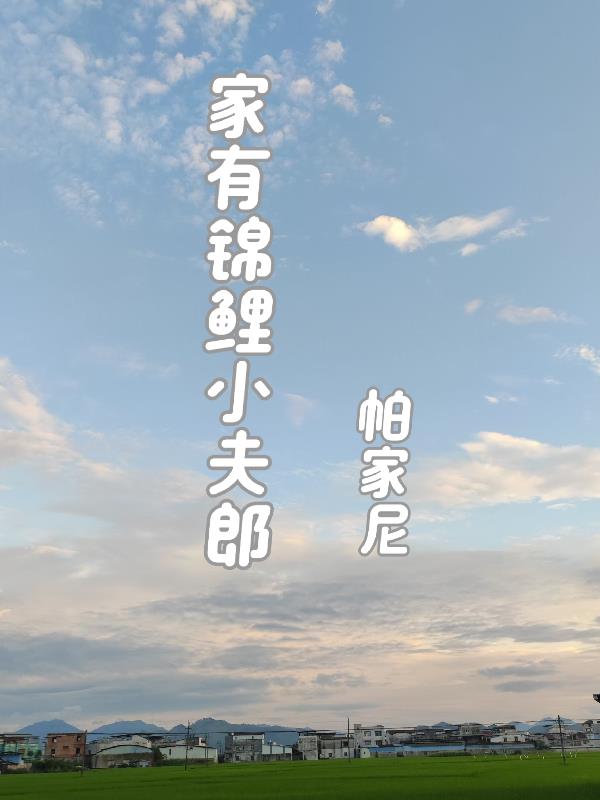 家有锦鲤小夫郎百度