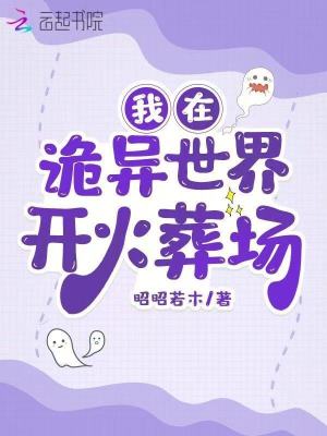 财权小说
